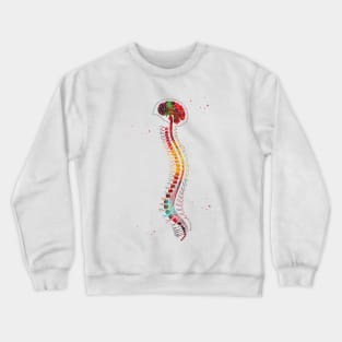 Brain with spinal cord Crewneck Sweatshirt